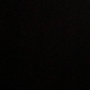 Meet your Posher, Daisy